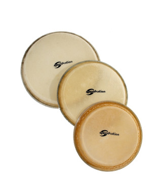 Djembe SDH leather-12 12 "