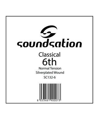 SOUNDSATION SC132-6