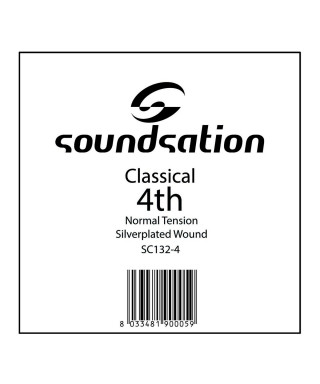 SOUNDSATION SC132-4