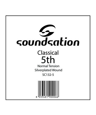 SOUNDSATION SC132-5