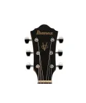 Ibanez V40wsce Open Pore Brown - Acoustic guitar | Piazzo