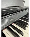 Casio-Rev.-450-celviano