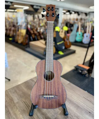 eko-duo-ukubass-fretless