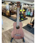 Eko-duo-ukubass-fretless