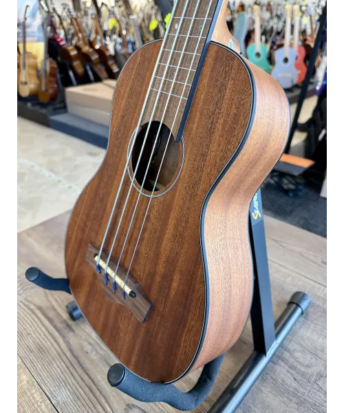 Eko-duo-ukubass-fretless