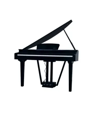 Pianoforte Digitale codino Echord GP-10 Nero lucido - Piazzo