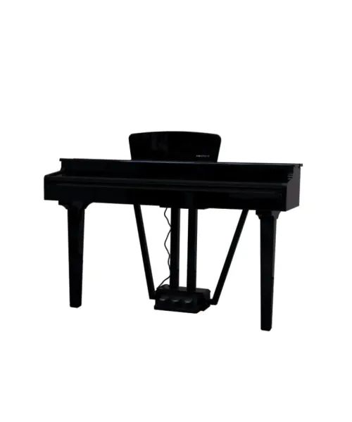 Pianoforte Digitale codino Echord GP-10 Nero lucido - Piazzo