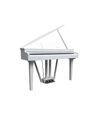 ECHORD GP-10 Pianoforte Digitale 88 Tasti Pesati | Piazzo
