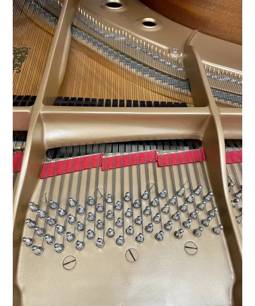 half-tailed piano Yamaha C7 glossy black