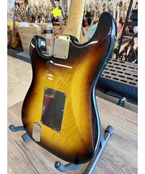 Fernandes-FST-135-custody