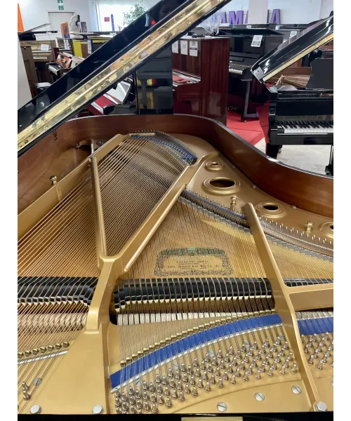 half-tail piano Kawai KG5D Black