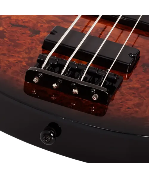 Schecter C-4 Standard Tobacco Burl – Basso Elettrico Solid Body