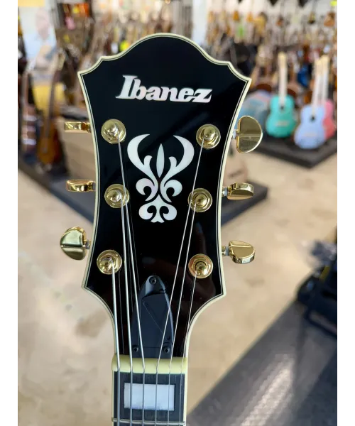 IBANEZ Af95fm-Ays