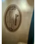IBANEZ Af95fm-Ays
