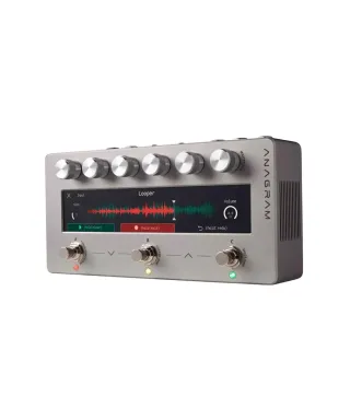 Darkglass Anagram – Multi-FX e Amp Modeler per basso