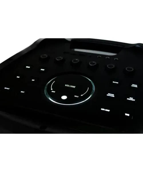 Audiodesign DJ 212S - Active diffuser 2x12 "Powerful | Piazzo