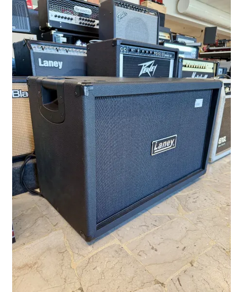 Laney-gs212ie