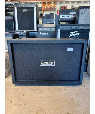 laney-gs212ie
