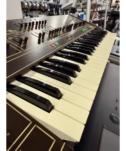 synthesizer-string-machine-cruise-Siel-