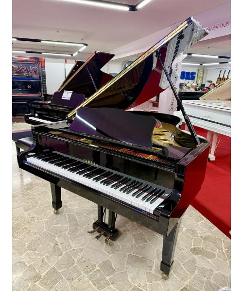 Piano Half tail mod. G5 glossy black