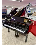 Piano Half tail mod. G5 glossy black