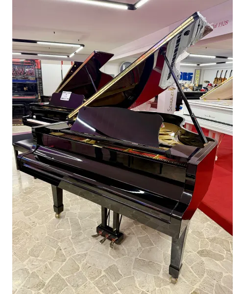 Piano Half tail mod. G5 glossy black