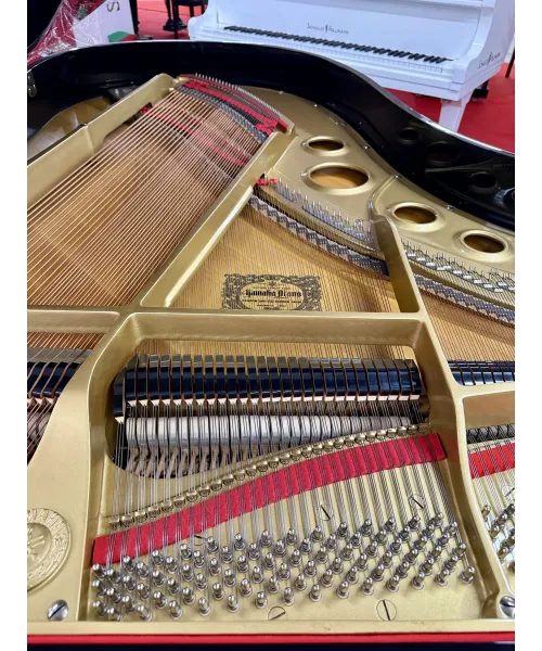 Piano Half tail mod. G5 glossy black