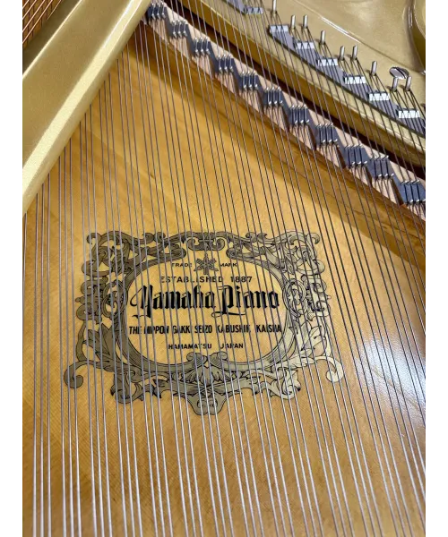 Pianoforte mezza coda mod. g5 nero lucido