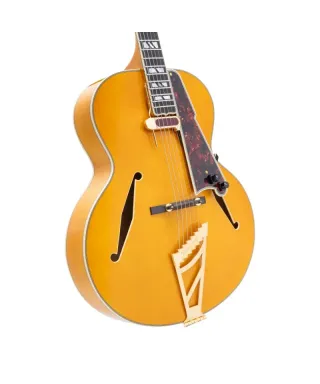D'angelico excel exl1 style b amber