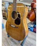 fender-newporter-custodia