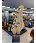 Schecter-route-66-Tele-hs-custody