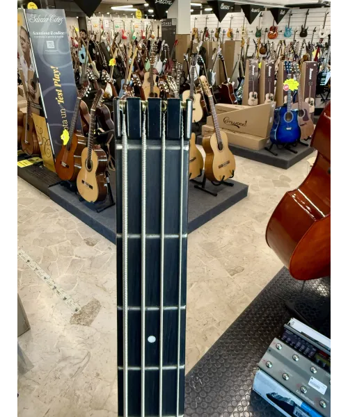 Steinberger-spirit-xt-2-black-bag