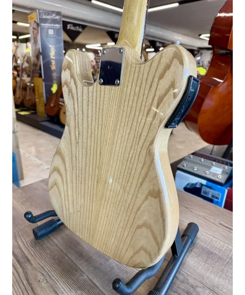 jim-reed-telecoustic-custodia