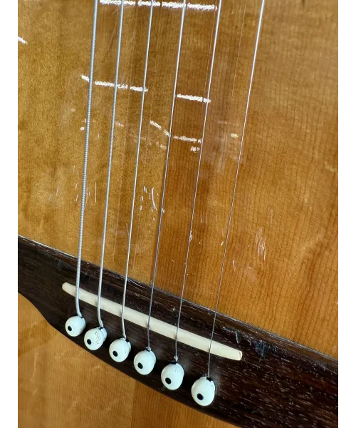 godin-acousticaster-natural-custodia