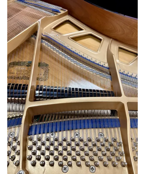 Piano kawai pigtail mod. glossy kg1e