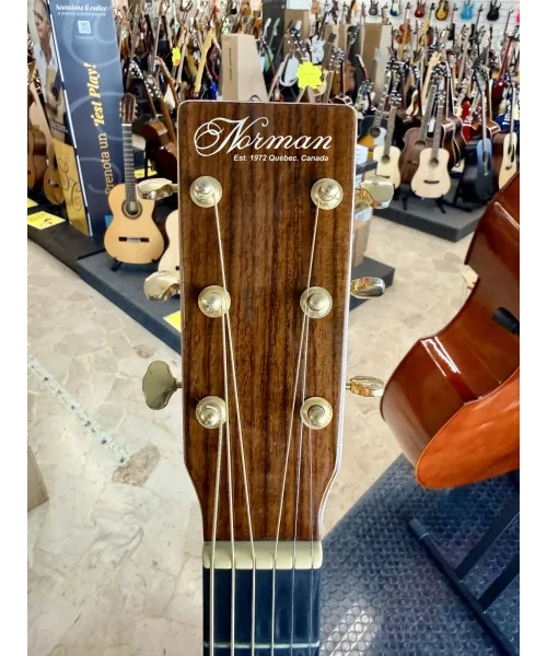 norman-studio-st68-presys-custodia