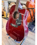 takamine-eg530sc