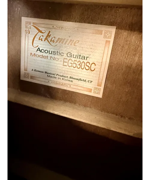 takamine-eg530sc
