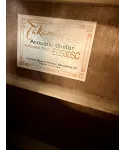 takamine-eg530sc
