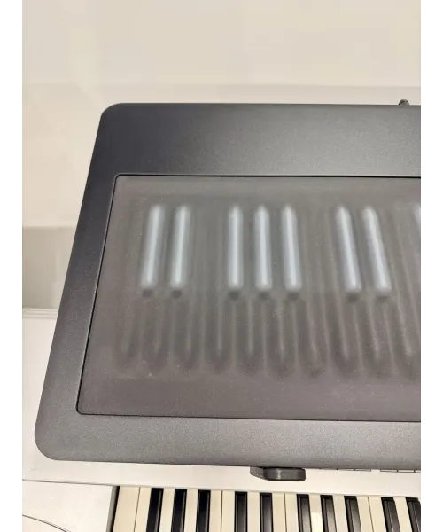 roles-seaboard-large-packaging