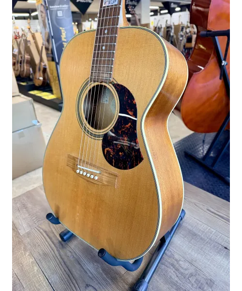 maton-ebg808-te-tommy-emmanuel-custodia