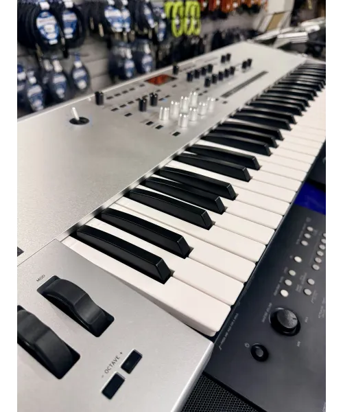 korg-wavestate-platinum-se-custodia