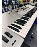 Korg-wavestate-platinum-if-custody