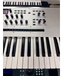 korg-wavestate-platinum-se-custodia