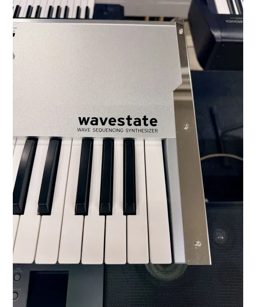korg-wavestate-platinum-se-custodia