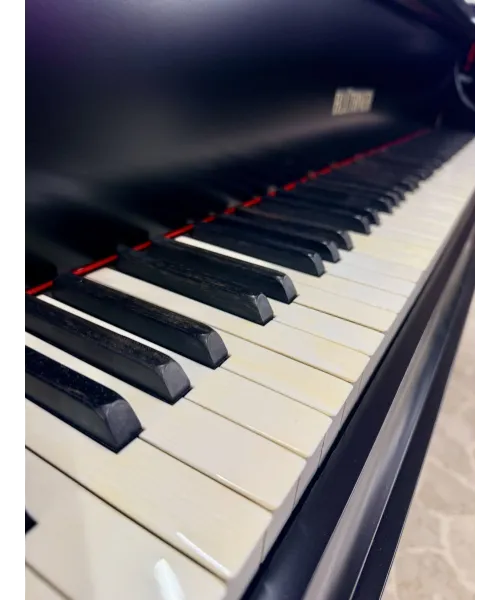 Piano Half tail Blutner black satin