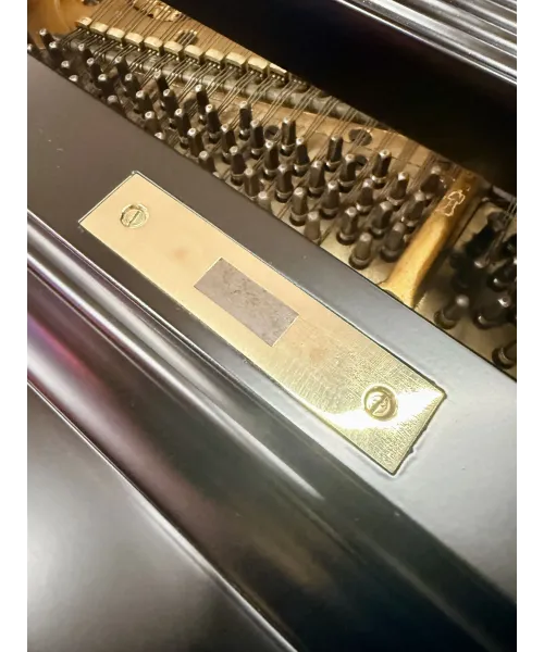 Piano Half tail Blutner black satin