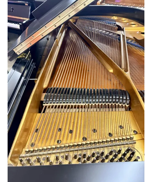 Piano Half tail Blutner black satin