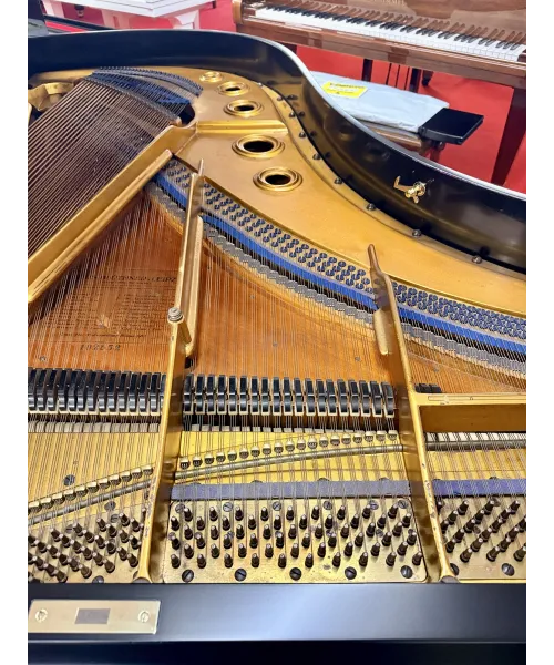 Piano Half tail Blutner black satin