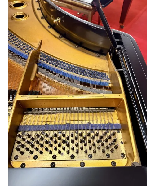 Pianoforte mezza coda bluthner nero satinato